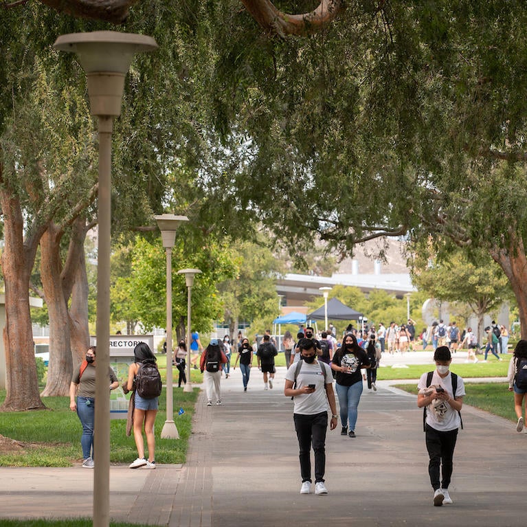 campus
